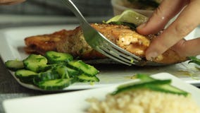 Mulher que cozinha peixes dos salmões em casa vídeos de arquivo Mulher que cozinha peixes dos salmões em casa vídeos de arquivo
