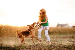Mulher que joga com o cão fotografia de stock Mulher que joga com o cão fotografia de stock