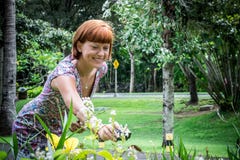 Mulher 'sexy' nova com a borboleta do tiro da câmera da ação nas plantas Parque do DUA de Nusa, ilha tropical Bali, Indonésia fotos de stock Mulher 'sexy' nova com a borboleta do tiro da câmera da ação nas plantas Parque do DUA de Nusa, ilha tropical Bali, Indonésia fotos de stock