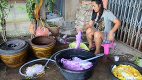 Mulheres tailandesas que lavam e roupa limpa após a tingidura do batik do laço filme Mulheres tailandesas que lavam e roupa limpa após a tingidura do batik do laço filme