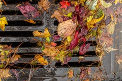 Multi colored leaves clogging a street drain royalty free stock photography Multi colored leaves clogging a street drain royalty free stock photography