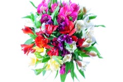 Multicolored bloemen van alstroemerialelies om boeket op witte achtergrond geïsoleerde close-up stock afbeeldingen Multicolored bloemen van alstroemerialelies om boeket op witte achtergrond geïsoleerde close-up stock afbeeldingen