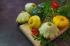 Multicolored small patissons grown on an eco-farm royalty free stock photo Multicolored small patissons grown on an eco-farm royalty free stock photo