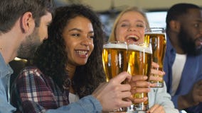 Multiethnic friends clinking beer, celebrating favorite sports team goal, league stock footage Multiethnic friends clinking beer, celebrating favorite sports team goal, league stock footage