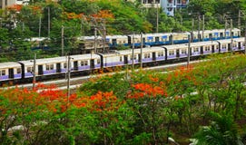 Mumbai-Bahnzug umgeben durch Bäume stockfotos Mumbai-Bahnzug umgeben durch Bäume stockfotos