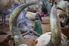 Mundari Children,Cow,South Sudan,October 2021 Royalty Free Stock Photos Mundari Children,Cow,South Sudan,October 2021 Royalty Free Stock Photos