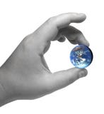 Mundo a disposición Mundo a disposición