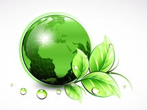 Mundo verde natural com folhas e gotas da água Ilustração do vetor ilustração stock Mundo verde natural com folhas e gotas da água Ilustração do vetor ilustração stock