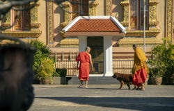 Munkar och hund framme av korridoren, Wat Sri Bun Rueang, Chiang Rai, Thailand royaltyfri bild Munkar och hund framme av korridoren, Wat Sri Bun Rueang, Chiang Rai, Thailand royaltyfri bild