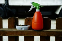 Muntstuk in de kinderdagverblijfpot met watervoorziening naast de pot stock foto Muntstuk in de kinderdagverblijfpot met watervoorziening naast de pot stock foto