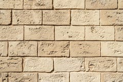 Mur de briques fait de mollusques et crustacés images stock Mur de briques fait de mollusques et crustacés images stock
