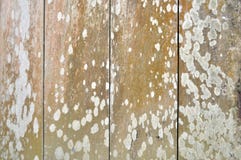 Mure pranchas de madeira abstratas textura & fundos do grunge imagem de stock Mure pranchas de madeira abstratas textura & fundos do grunge imagem de stock