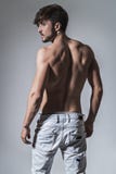 Muscled πλάτη ενός κατάλληλου ατόμου στοκ εικόνα Muscled πλάτη ενός κατάλληλου ατόμου στοκ εικόνα
