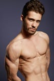 Muscular torso of young handsome man royalty free stock photo Muscular torso of young handsome man royalty free stock photo