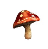 Mushroom Royalty Free Stock Image Mushroom Royalty Free Stock Image