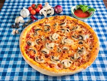 Mushroom pizza with cheese stock photography Mushroom pizza with cheese stock photography