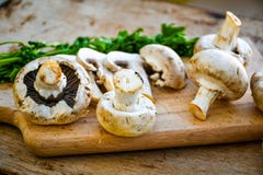 Mushrooms Stock Image Mushrooms Stock Image