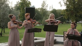 Musical quartet. Three violinists and cellist playing music. Medium shot. stock video Musical quartet. Three violinists and cellist playing music. Medium shot. stock video