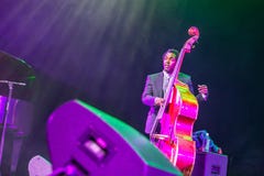 Musicien de jazz Aaron James au jazz 2015 de Kaunas Images libres de droits Musicien de jazz Aaron James au jazz 2015 de Kaunas Images libres de droits