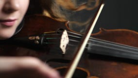 Musicusuitvoerder het spelen op snaarinstrument in filharmonisch stock videobeelden Musicusuitvoerder het spelen op snaarinstrument in filharmonisch stock videobeelden