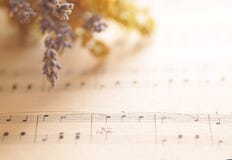 Musikanmärkningar med blommor royaltyfri bild Musikanmärkningar med blommor royaltyfri bild