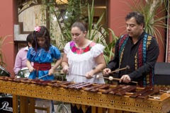 Musiker, die Marimba spielen stockfotos Musiker, die Marimba spielen stockfotos