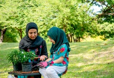 Muslim mother help and teach her daughter to grow and plant a tree in the garden stock image Muslim mother help and teach her daughter to grow and plant a tree in the garden stock image
