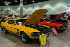 Mustango de Boss 302 Fotografía de archivo libre de regalías
