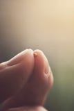 Mustard seed and fingertips.