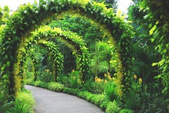 Muziektentoriëntatiepunt bij de Botanische Tuin van Singapore royalty-vrije stock foto Muziektentoriëntatiepunt bij de Botanische Tuin van Singapore royalty-vrije stock foto