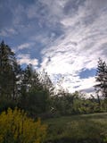 My morning view outside my cottage stock photography My morning view outside my cottage stock photography