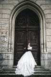 Mysteriöse Frau im viktorianischen Kleid stockfotos Mysteriöse Frau im viktorianischen Kleid stockfotos