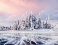 Mysteriöse Winterlandschaftsmajestätische Berge im Winter Magischer Winterschnee bedeckte Baum Fotogrußkarte Bokeh lizenzfreie stockfotos Mysteriöse Winterlandschaftsmajestätische Berge im Winter Magischer Winterschnee bedeckte Baum Fotogrußkarte Bokeh lizenzfreie stockfotos