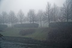 Mystical Walk path with fog silhouette of trees, misty walkside, foggy place royalty free stock image Mystical Walk path with fog silhouette of trees, misty walkside, foggy place royalty free stock image