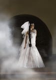 Mystisk brud som omges av mist Royaltyfri Bild Mystisk brud som omges av mist Royaltyfri Bild