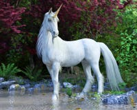 Mythical white Unicorn posing in an enchanted forest . royalty free illustration Mythical white Unicorn posing in an enchanted forest . royalty free illustration