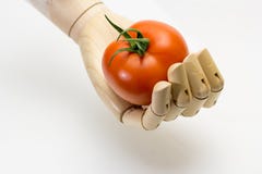 Mão de madeira que guarda um tomate maduro fotos de stock royalty free Mão de madeira que guarda um tomate maduro fotos de stock royalty free