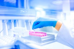 Mão do cientista que guarda a amostra no laboratório especial, ambiente médico, detalhes do hospital