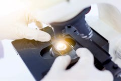Mão do cientista que guarda o tubo de análise laboratorial, conceito da investigação e desenvolvimento do laboratório de ciência foto de stock Mão do cientista que guarda o tubo de análise laboratorial, conceito da investigação e desenvolvimento do laboratório de ciência foto de stock