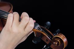 Mão fêmea no violino do fretboard Os dedos apertam as cordas Para a cobertura da notícia da música Fim acima Fundo preto fotografia de stock Mão fêmea no violino do fretboard Os dedos apertam as cordas Para a cobertura da notícia da música Fim acima Fundo preto fotografia de stock