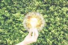 Mão que mantém a ampola contra a parede verde da licença com luz solar falsificada no quadro do globo do fio no salvamento do amb fotos de stock Mão que mantém a ampola contra a parede verde da licença com luz solar falsificada no quadro do globo do fio no salvamento do amb fotos de stock