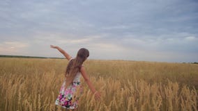 Mädchen ist der Jugendliche, der ihren Armen wie Flügel und Wege über Feld verbreitet wird Langsame Bewegung stock video Mädchen ist der Jugendliche, der ihren Armen wie Flügel und Wege über Feld verbreitet wird Langsame Bewegung stock video