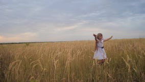 Mädchen ist Jugendlicher, verbreitete ihre Arme wie Flügel und Läufe über Feld Langsame Bewegung stock footage Mädchen ist Jugendlicher, verbreitete ihre Arme wie Flügel und Läufe über Feld Langsame Bewegung stock footage