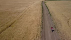 Mädchen reitet entlang die Straße zwischen landwirtschaftliche Felder stock video Mädchen reitet entlang die Straße zwischen landwirtschaftliche Felder stock video