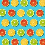Mångfärgad vibrerande citrusfruktskivatextur på turkosbakgrund royaltyfria foton Mångfärgad vibrerande citrusfruktskivatextur på turkosbakgrund royaltyfria foton