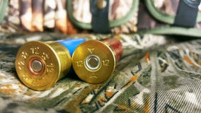 mått 12 för ett vapen med ett kassettfall arkivfoto mått 12 för ett vapen med ett kassettfall arkivfoto