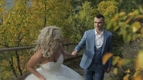 Młoda i piękna ślub para wpólnie w parkowej pobliskiej rzece Uroczy fornal i panna młoda kilka dni ubranie szczęśliwy roczna ślub zbiory wideo Młoda i piękna ślub para wpólnie w parkowej pobliskiej rzece Uroczy fornal i panna młoda kilka dni ubranie szczęśliwy roczna ślub zbiory wideo