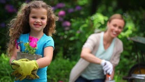 Mère et fille plantant des fleurs banque de vidéos Mère et fille plantant des fleurs banque de vidéos