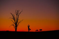 Méditation Vriksasana de coucher du soleil images stock Méditation Vriksasana de coucher du soleil images stock