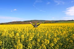 mój ląduje zdjęcie stock mój ląduje zdjęcie stock